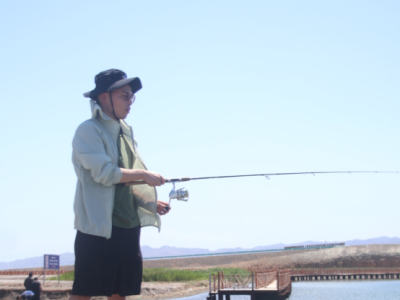 6388153215126757826894058